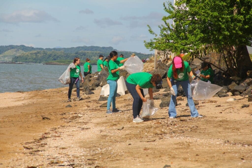 Por el Día Mundial de los Océanos, empresas realizarán una limpieza de playas en Veracruz - Vida Digital con Alex Neuman
