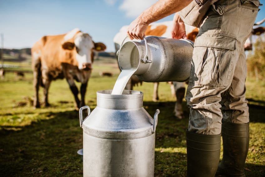 Nestlé Panamá trabaja en la transición hacia las prácticas agrícolas regenerativas para la producción de leche - Vida Digital con Alex Neuman
