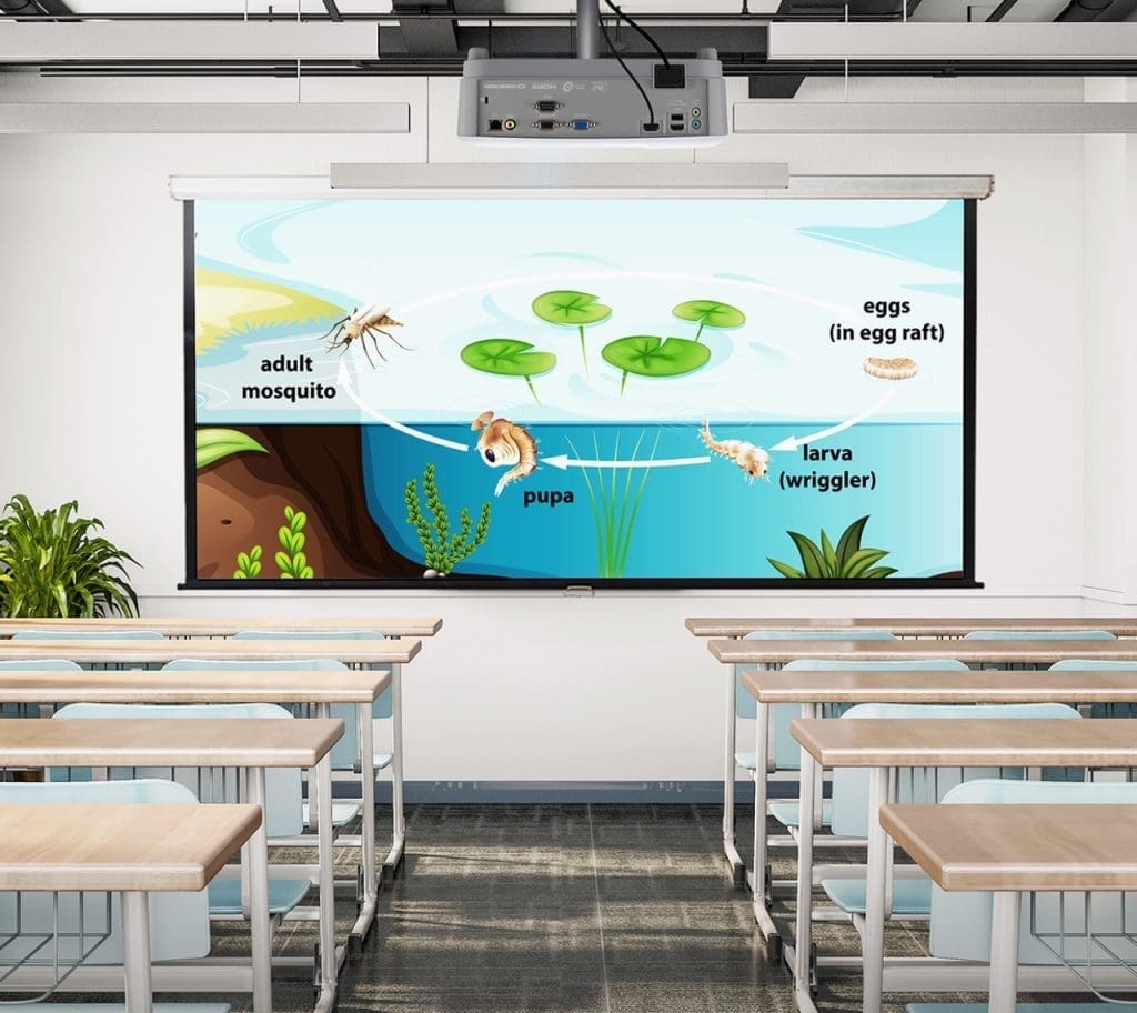 ViewSonic lanza proyector versátil para el mercado educativo - Vida Digital con Alex Neuman